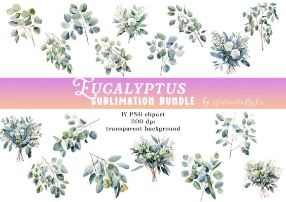 Download Watercolor Eucalyp Flower Bundle Clipart - Premium Resources